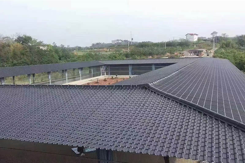 Mga Kaso ng Proyekto